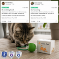 TassJakt™ – Aktiv leg på kattens præmisser