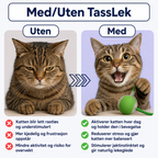 TassJakt™ – Aktiv leg på kattens præmisser