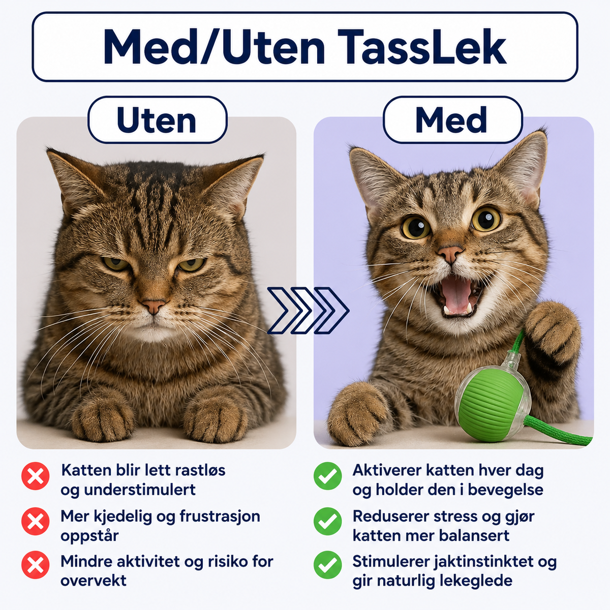 TassJakt™ – Aktiv leg på kattens præmisser