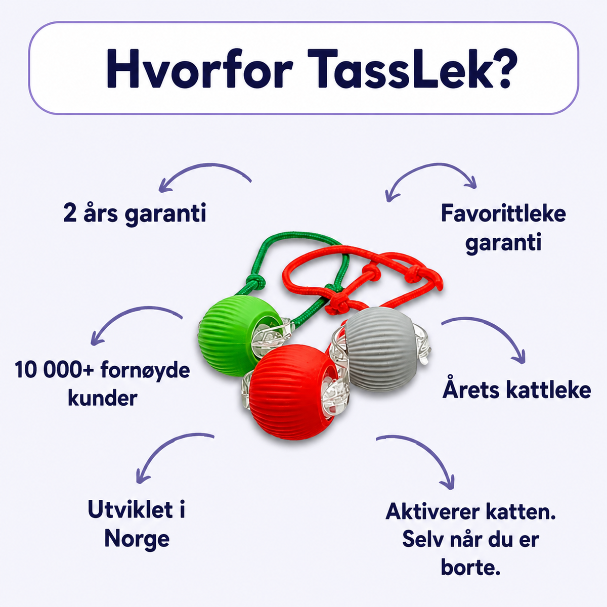 TassJakt™ – Aktiv leg på kattens præmisser