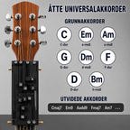 Guitartræner til begyndere – hjælp til akkorder og fingerplacering