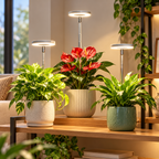 LED-växtlampa med tre justerbara ljushuvuden över krukväxter