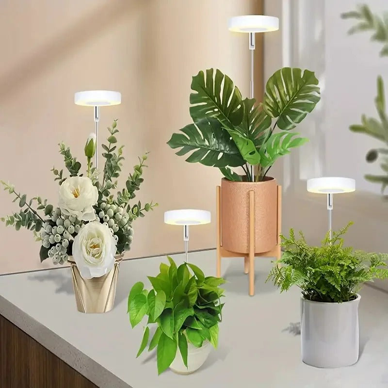 Exempel på enhuvade LED-växtlampor för krukväxter
